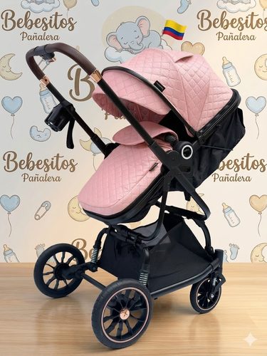 Fox Coche Moises Maxibaby