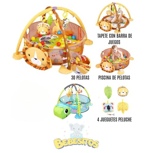 Gimnasio De Pelotas