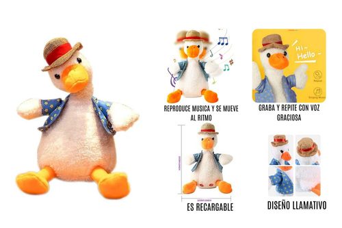 Pato Didactico
